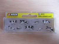 Noch - ref.36721 - Vacas blanquinegras